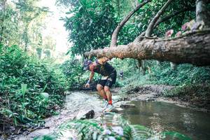 BIB: 
                            <button type="button" onclick="openModal(25431607)" class="btn btn-primary btn-sm float-right btn-popup" data-toggle="modal" data-target=".modal-high-quality">
                        <i class="fas fa-shopping-cart"></i> Add to Cart
                    </button>
                                            <button type="button" onclick="isThisMe(25431607, true)" class="btn btn-success btn-sm float-right btn-popup btn-isme hidden" data-toggle="tooltip" data-placement="bottom" title="นี่คือรูปของคุณใช่ไหม คลิกที่นี่เพื่อเอาเข้าอัลบั้ม">
                        <i class="fas fa-plus"></i> Add to album
                    </button>
                    <button type="button" onclick="isThisMe(25431607, false)" class="btn btn-warning btn-sm float-right btn-popup btn-isnotme hidden">
                        <i class="fas fa-ban"></i> Remove from album
                    </button>